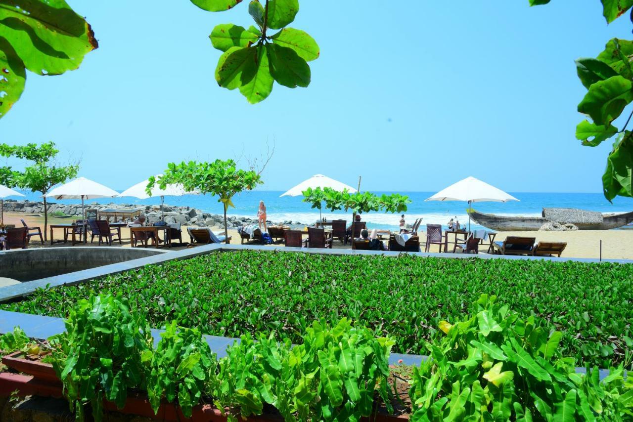 Palm Tree Anex Hotel Варкала Екстериор снимка